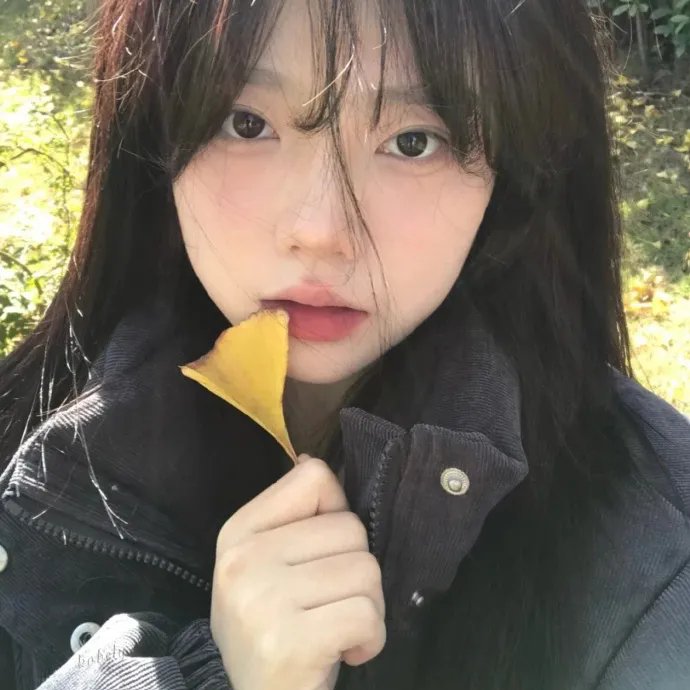 凉宫春日的消失